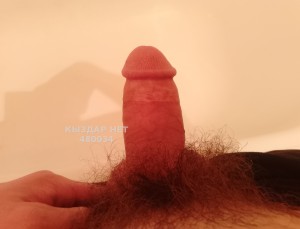 Жиголо Шымкента Парень№480034 Lux4 Фотография №3626340